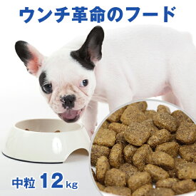 ＼18日は買い時★P5倍還元中／犬 フード & おやつ セット★獣医師推奨★体重管理 ダイエット★ウンチ革命のフード★グリーンフィッシュ 犬 中粒12kg+チップストーリー 魚 EPA DHA 賢く 認知機能維持 無添加 ドライフード えさ 餌 エサ えさ 成犬 中型犬 大型犬