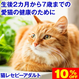 ★10％OFF★スーパーセール限定◆健康を考えたフード★ ホリスティックレセピー 成猫用 4.8kg (400gx12)(生後2ヶ月～7歳まで)チキン&ライス ( ネコ ねこ キャットフード えさ 餌 エサ ごはん ご飯 子猫 成猫 シニア 尿結石 尿路 尿 毛玉 ヘアボール )