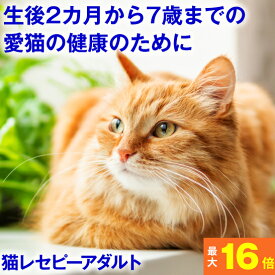 ★10％OFF★スーパーセール限定◆健康を考えたフード★ ホリスティックレセピー 成猫用 4.8kg (400gx12)(生後2ヶ月～7歳まで)チキン&ライス ( ネコ ねこ キャットフード えさ 餌 エサ ごはん ご飯 子猫 成猫 シニア 尿結石 尿路 尿 毛玉 ヘアボール )