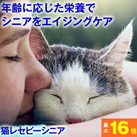 ★健康を考えたフード★ ホリスティックレセピー 猫シニア 4.8kg(400gx12)(7歳から）チキン&ライス( ネコ ねこ キャットフード えさ 餌 エサ ごはん 高齢 尿結石 尿路 尿 毛玉 ヘアボール )