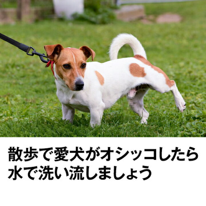 楽天市場 24h限定 11 9 0円 1000円クーポン おでかけボトルキャップ君 ブルー 便利な お出かけ 犬用品 犬 いぬ イヌ ペット用品 便利グッズ 散歩 旅行 ドライブ 防災 マナー オシッコ 水 ペットボトル 水筒 給水 水飲み 水入れ 容器熱中症 国産
