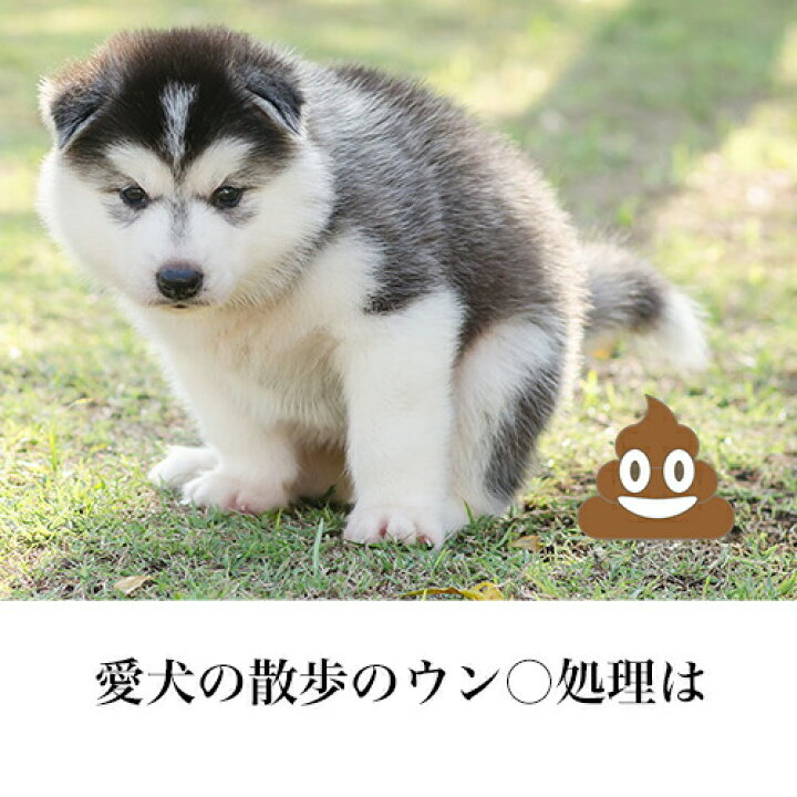 楽天市場 最大p14倍 犬 散歩 お出かけ ポイ太くん 0枚入 ソフトな質感で 手に優しく 取りやすい ウンチ処理 袋 ウンコ ウンチ 取りは 飼い主の エチケット マナー フン うんこ うんち ぽいた ポイタ 犬用品 ペット用品 便利 グッズ ドライブ トイレ うんち 楽天市場 最大p14倍 犬 散歩 お出かけ ポイ太くん 0枚入 ソフトな質感で 手に優しく 取りやすい ウンチ処理 袋 ウンコ ウンチ 取りは 飼い主の エチケット マナー フン うんこ うんち ぽいた ポイタ 犬用品 ペット用品 便利 グッズ ドライブ トイレ うんち