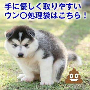  UObY }i[ E` ybgp U |C 20/100/200 U 񂿑 LȂ Lb`  Ck ł o o| s hCu gCɗ 