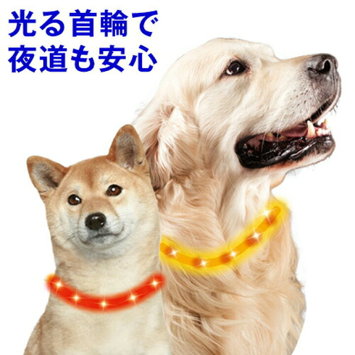 楽天市場 ポイント最大16倍 犬 散歩 光る首輪 セーフティカラー Lサイズ 犬 いぬ イヌ 犬用品 ペット用品 便利 グッズ おでかけ 散歩 首輪 Led ライト 光る 点灯 点滅 夜道 交通 安全 雨 ナイロン Usb 充電 ぺったんpet