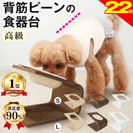 ＼今日は買い時★P22倍＋特典クーポン／【獣医師推奨】楽天1位 犬 猫 小型犬 ペット 食器台 フードボウル…
