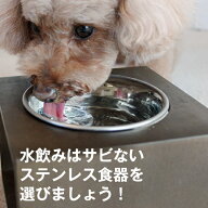 ◆獣医師推奨◆犬 猫 用 ステンレス食器 食べやすい！ 洗いやすい！サビない！こぼれない 高さ調節 水飲…