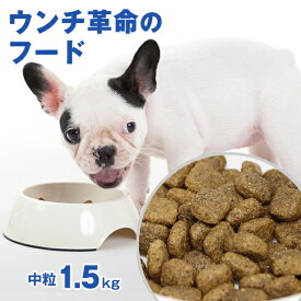 23:59まで◆ポイント4倍◆【獣医師会推薦】犬 ドッグフード ごはん ご飯 魚 体重管理 ダイエット★ウンチ革命のフード★グリーンフィッシュ 犬 中粒1.5kg EPA DHA 賢く 認知機能維持 無添加 ドライフード 犬のえさ 餌 エサ えさ 成犬 アレルギー 中型 大型