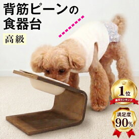 【獣医師推奨】SNSで話題！楽天1位 犬 猫 小型犬 ペット 食器台 フードボウル フードスタンド 食器スタンド 陶器 傾斜のある食器台 (S、L) 高さがある 高さ調整 食べやすい こぼれない 餌入れ 木製 スタンド 猫用 食器 皿 餌入 えさ ネコボウル