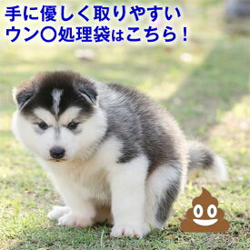 ＼8/10は今日は買い時★P5倍散歩グッズ マナー袋 ウンチ処理 ペット用 散歩 ポイ太くん 20枚入/100枚入/200枚入 うんち袋 臭わない キャッチ 犬 イヌ おでかけ お出かけ お出掛け 旅行 ドライブ トイレに流せる うんち 袋 取りやすい ウンコ エチケット