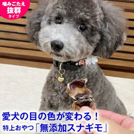 ＼まもなく終了★10%OFF+P5倍／◆獣医師推奨◆犬 おやつ スナギモ 40g 無添加 国産 すなぎも 砂肝 ドッグフード トッピング ギフト プレゼント オヤツ 小型犬 超小型犬 無着色 自然食品 安心 ナチュラル ヘルシー 犬のおやつ 犬用おやつ 鶏 良質 パピー 子犬 成犬