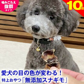 ＼P10倍★チワワレースでク−ポン進呈／◆獣医師推奨◆犬 おやつ スナギモ 40g 無添加 国産 すなぎも 砂肝 ドッグフード トッピング ギフト プレゼント オヤツ 小型犬 超小型犬 無着色 自然食品 安心 ナチュラル ヘルシー 犬のおやつ 犬用おやつ 鶏 良質 パピー 子犬 成犬