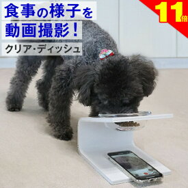 ＼間もなく終了★P11倍＋特典クーポン／【動画撮影】犬 猫 食器 フードボウル 「クリア・ディッシュ S、L」 斜め 陶器 ★ おしゃれ 食事台 高さ調節 すべらない 食べやすい こぼれない 洗いやすい 無地 白 ペット 子犬 ご飯 ごはん 食事 餌入 餌 エサ えさ 皿 水飲み 老犬