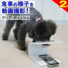 ＼間もなく終了★P2倍＋特典クーポン／【動画撮影】犬 猫 食器 フードボウル 「クリア・ディッシュ S、L」 斜め 陶器 ★ おしゃれ 食事台 高さ調節 すべらない 食べやすい こぼれない 洗いやすい 無地 白 ペット 子犬 ご飯 ごはん 食事 餌入 餌 エサ えさ 皿 水飲み 老犬