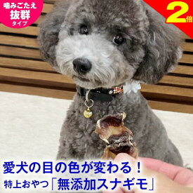 ＼間もなく終了★P2倍＋特典クーポン／◆獣医師推奨◆犬 おやつ スナギモ 40g 無添加 国産 すなぎも 砂肝 ドッグフード トッピング ギフト プレゼント オヤツ 小型犬 超小型犬 無着色 自然食品 安心 ナチュラル ヘルシー 犬のおやつ 犬用おやつ 鶏 良質 パピー 子犬 成犬