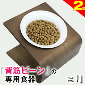 ＼間もなく終了★P2倍＋特典クーポン／◆ペットのプロ推奨◆犬 猫 食器 フードボウル 「月」 斜め 陶器 ★ おしゃれ 食事台 高さ調節 すべらない 食べやすい こぼれない 洗いやすい 無地 白 ペット 子犬 ご飯 ごはん 食事 餌入 餌 エサ えさ 皿 水飲み 老犬
