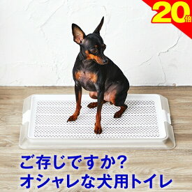 ＼SS+最強翌配Pで★P20倍還元／犬 小型犬 用 トイレ【ワンランク上のライフスタイル】オシャレなデザイナーズトイレ ペットレークリアメッシュ Sサイズ メッシュ付 ( レギュラーサイズ ) 部屋置き トイレシート の 交換 が 楽 シーツ パピー シニア 子犬 成犬 老犬