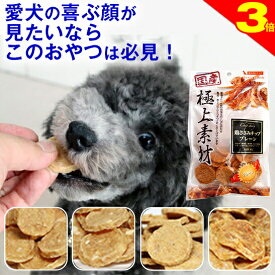 ＼今日は買い時★P3倍／◆獣医師推奨◆ 犬 おやつ 無添加 国産 ささみジャーキー チップストーリー プレーン/チーズ/おから/緑黄色野菜 鶏 高タンパク 低脂肪 パピー シニア