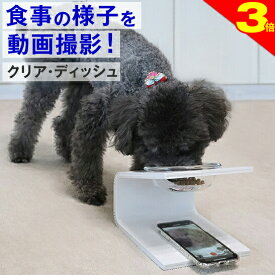 ＼今日は買い時★P3倍／【動画撮影】犬 猫 食器 フードボウル 「クリア・ディッシュ S、L」 斜め 陶器 ★ おしゃれ 食事台 高さ調節 すべらない 食べやすい こぼれない 洗いやすい 無地 白 ペット 子犬 ご飯 ごはん 食事 餌入 餌 エサ えさ 皿 水飲み 老犬