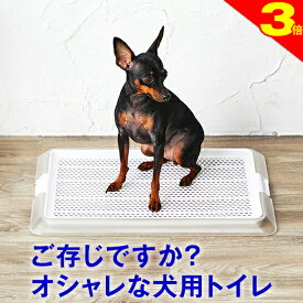 ＼今日は買い時★P3倍／犬 小型犬 用 トイレ【ワンランク上のライフスタイル】オシャレなデザイナーズトイレ ペットレークリアメッシュ Sサイズ メッシュ付 ( レギュラーサイズ ) 部屋置き トイレシート の 交換 が 楽 シーツ パピー シニア 子犬 成犬 老犬
