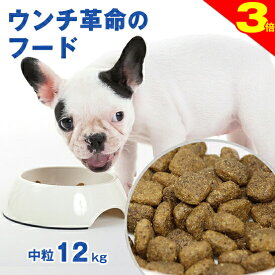 ＼今日は買い時★P3倍／◆レビュー多数【獣医師会推薦】グリーンフィッシュ 犬 中粒12kg ドッグフード アダルト ごはん ご飯 魚 体重管理 ダイエット ウンチ EPA DHA 認知 無添加 ドライフード 犬のえさ 餌 エサ えさ 成犬 アレルギー 小型 中型 大型