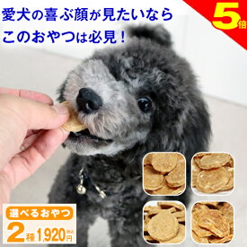 ＼まもなく終了★P5倍／【送料無料】獣医師推奨 犬 おやつ 無添加 国産 ささみジャーキー チップストーリー プレーン/チーズ/おから/緑黄色野菜 鶏 高タンパク 低脂肪 パピー シニア