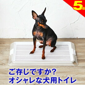＼8/10は今日は買い時★P5倍犬 小型犬 用 トイレ【ワンランク上のライフスタイル】オシャレなデザイナーズトイレ ペットレークリアメッシュ Sサイズ メッシュ付 ( レギュラーサイズ ) 部屋置き トイレシート の 交換 が 楽 シーツ パピー シニア 子犬 成犬 老犬