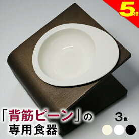 ＼8/10は今日は買い時★P5倍【獣医師推奨】犬 猫 ペット 食器 フードボウル 餌入れ 斜め 陶器 おしゃれ 食器台 食事台 高さ 調節 すべらない 食べやすい こぼれない 洗いやすい 無地(アイボリー 白 黒) 子犬 ご飯 ごはん 食事 餌入 餌 エサ えさ 皿 水飲み 老犬