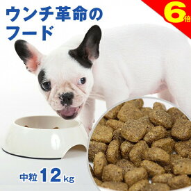 ＼8/15は買い時＆出荷可★ポイント6倍／◆レビュー多数【獣医師会推薦】グリーンフィッシュ 犬 中粒12kg ドッグフード アダルト ごはん ご飯 魚 体重管理 ダイエット ウンチ EPA DHA 認知 無添加 ドライフード 犬のえさ 餌 エサ えさ 成犬 アレルギー 小型 中型 大型