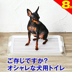 ＼まもなく終了★ポイント8倍／犬 小型犬 用 トイレ【ワンランク上のライフスタイル】オシャレなデザイナーズトイレ ペットレークリアメッシュ Sサイズ メッシュ付 ( レギュラーサイズ ) 部屋置き トイレシート の 交換 が 楽 シーツ パピー シニア 子犬 成犬 老犬