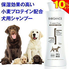 ＼今日が買い時★旧価格で10%OFF+P3倍／◆トリマー推奨◆犬 シャンプー 全犬種用 プロテインプラスシャンプー（バイオガンス）リンゴの香り いい匂い 泡 泡立て 無添加 オーガニック 毛並み 毛づや うるおい しっとり つや ツヤ 艶 天然 消臭 低刺激 弱酸性 敏感肌