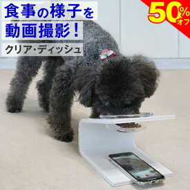 ＼SS★50%オフ＋まもなく終了★P6倍／【動画撮影】犬 猫 食器 フードボウル 「クリア・ディッシュ S、L」 斜め 陶器 ★ おしゃれ 食事台 高さ調節 すべらない 食べやすい こぼれない 洗いやすい 無地 白 ペット 子犬 ご飯 ごはん 食事 餌入 餌 エサ えさ 皿 水飲み 老犬