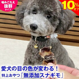 ＼SS★10%オフ＋まもなく終了★P9倍／◆獣医師推奨◆犬 おやつ スナギモ 40g 無添加 国産 すなぎも 砂肝 ドッグフード トッピング ギフト プレゼント オヤツ 小型犬 超小型犬 無着色 自然食品 安心 ナチュラル ヘルシー 犬のおやつ 犬用おやつ 鶏 良質 パピー 子犬 成犬