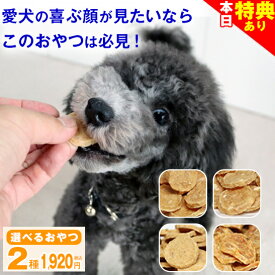 ＼本日★特典クーポン配布中／【送料無料】獣医師推奨 犬 おやつ 無添加 国産 ささみジャーキー チップストーリー プレーン/チーズ/おから/緑黄色野菜 鶏 高タンパク 低脂肪 パピー シニア
