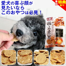 ＼本日★特典クーポン配布中／◆獣医師推奨◆犬 おやつ 無添加 ささみ ジャーキー 国産「チップストーリー」プレーン/チーズ/おから/緑黄色野菜 鶏 低脂肪 天然素材 ダイエット ヘルシー ヒューマングレード 低カロリー 高タンパク パピー シニア 子犬 成犬 老犬