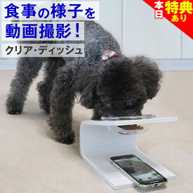 ＼本日★特典クーポン配布中／【動画撮影】犬 猫 食器 フードボウル 「クリア・ディッシュ S、L」 斜め 陶器 ★ おしゃれ 食事台 高さ調節 すべらない 食べやすい こぼれない 洗いやすい 無地 白 ペット 子犬 ご飯 ごはん 食事 餌入 餌 エサ えさ 皿 水飲み 老犬