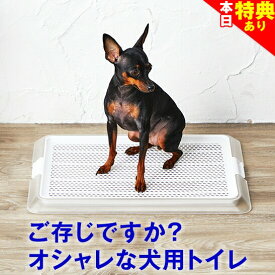 ＼まもなく終了★特典クーポン配布／犬 小型犬 用 トイレ【ワンランク上のライフスタイル】オシャレなデザイナーズトイレ ペットレークリアメッシュ Sサイズ メッシュ付 ( レギュラーサイズ ) 部屋置き トイレシート の 交換 が 楽 シーツ パピー シニア 子犬 成犬 老犬