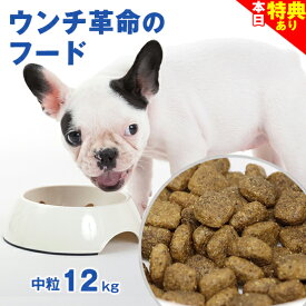 ＼お盆休み出荷OK★特典クーポン配布中／◆レビュー多数【獣医師会推薦】グリーンフィッシュ 犬 中粒12kg ドッグフード アダルト ごはん ご飯 魚 体重管理 ダイエット ウンチ EPA DHA 認知 無添加 ドライフード 犬のえさ 餌 エサ えさ 成犬 アレルギー 小型 中型 大型