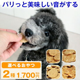 【送料無料】獣医師推奨 犬 おやつ 無添加 ささみ ジャーキー 国産 「チップストーリー」プレーン/チーズ/おから/緑黄色野菜 鶏 低脂肪 天然素材 健康 ダイエット 認知予防 ヘルシー ヒューマングレード 低カロリー 高タンパク パピー シニア