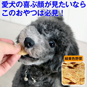 ★100円クーポン・27日まで★獣医師推奨 犬 おやつ 無添加 ささみ ジャーキー 国産「チップストーリー」プレーン/チーズ/おから/緑黄色野菜 鶏 低脂肪 天然素材 健康 ダイエット 認知予防 ヘ