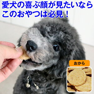 100~N[|E{聟 bt   Y  W[L[ Yu`bvXg[[vv[/`[Y//ΉF { ᎉb VRf N _CGbg Fm\h 