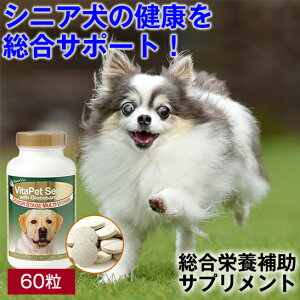 100~N[|E27܂Ł  Tv h{ ⏕ oC^ybg VjA 60 ORT~z nCVjA p Tvg Nێ r^~ ~l ̗͑ {s h{⏕ h