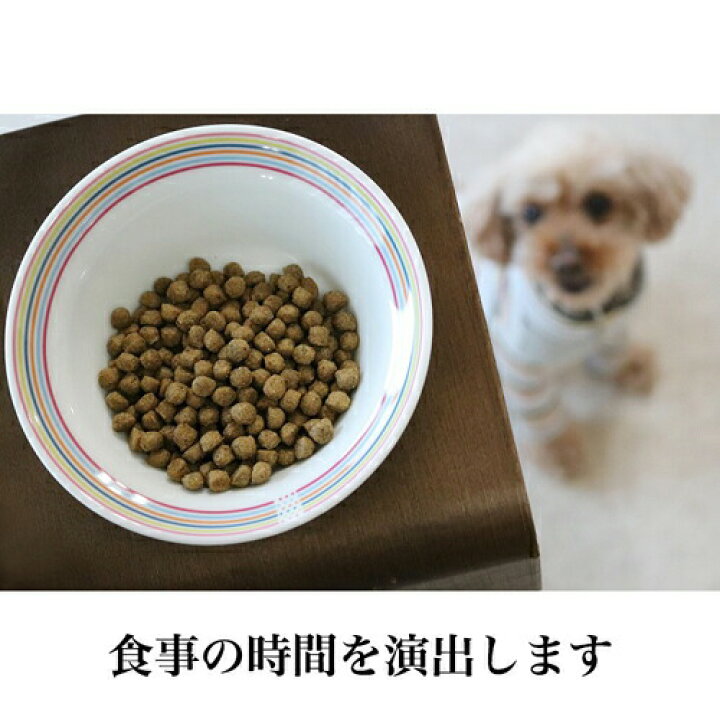楽天市場 期間限定 11 17 19 59まで ポイント5倍 犬猫用フードボウル 虹 g 70gのドライフードが入る陶器製食器 ペット 餌入れ 餌 エサ 水飲み 給水器 食器台 皿 小型犬 パピー 子犬 子猫 離乳食 シニア 電子レンジ 食洗機 食器洗い機 可愛い おしゃれ