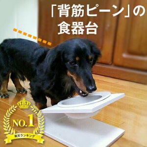 犬 餌入れ スタンドの人気商品 通販 価格比較 価格 Com
