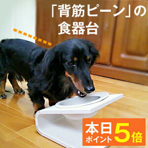 シニア 犬 餌の人気商品 通販 価格比較 価格 Com