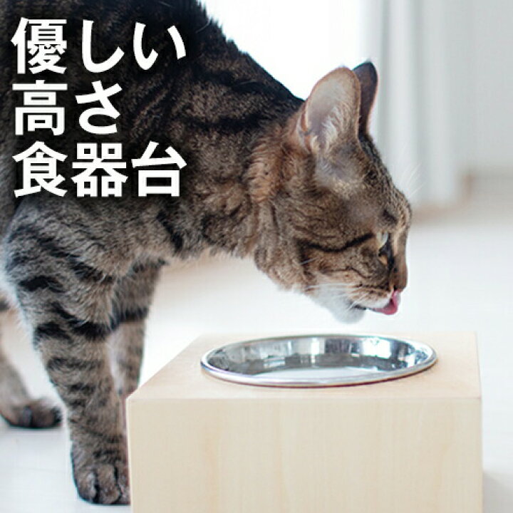 楽天市場 犬 猫 食器台 優しい高さの食器台 ボックスタイプ Lサイズ 犬用 猫用 食器台 フードボウルスタンド 食器スタンド スタンド テーブル 水飲み 水入れ 食器 餌入れ 老犬 老猫 シニア 高齢犬 高齢猫 ペット 首 腰 関節 北欧 獣医 コーギー ダックス