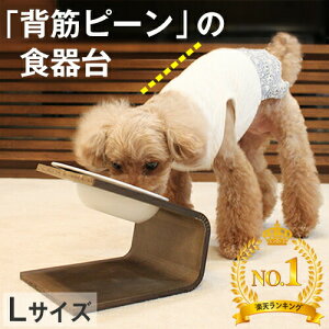 ybtz L ybg H iyV1ʁNlfUC X΂̂H (SAL) Ki   ׂȂ Hׂ₷ ڂȂ   X^