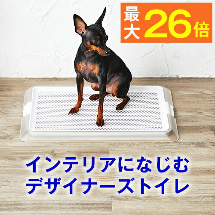 楽天市場 最大p26倍 犬用 トイレ ペットレークリアメッシュ ｓサイズ オシャレ な デザイナーズ トイレ メッシュ付き レギュラーサイズ 部屋置き トイレ シート の 交換 が 楽 ペット シーツ パピー シニア 子犬 成犬 老犬 高齢 小型犬 トイプードル チワワ