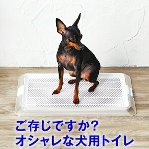 50~N[|E29܂Ł ^ p gCyÑCtX^CzIVȃfUCi[YgC ybg[NAbV STCY bVt ( M[TCY ) 