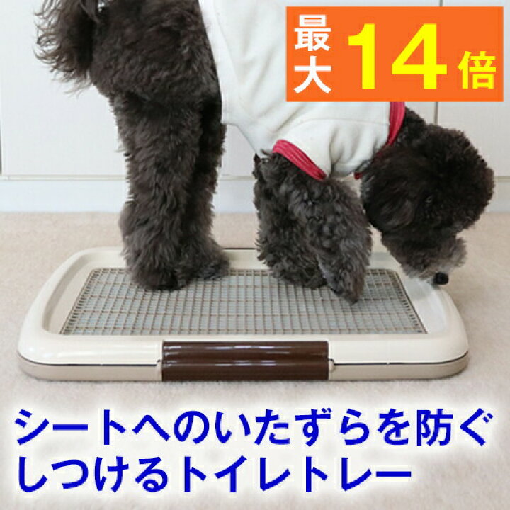 楽天市場 最大p14倍 犬用 トイレ しつけるトイレトレー メッシュプラスs 48cm 35cm いたずら防止 メッシュ付き トイレ シート の 交換 が 楽 ペット 用品 しつけ 躾 トレーニング イタズラ シーツ パピー シニア 子犬 成犬 老犬 高齢 小型犬 トイプードル