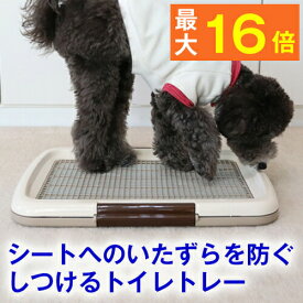 ★しつけが楽に！★しつけるトイレトレー メッシュプラスS [48cm×35cm]（犬用 トイレ） いたずら防止 メッシュ付き トイレ シート の 交換 が 楽（ しつけ 躾 トレーニング イタズラ パピー シニア 子犬 成犬 老犬 小型犬 ）